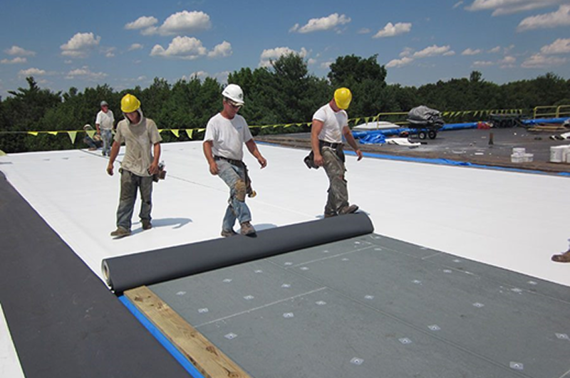 Steel Home Insulation in Florida: 5 Essential Strategies for Maximum Energy Efficiency